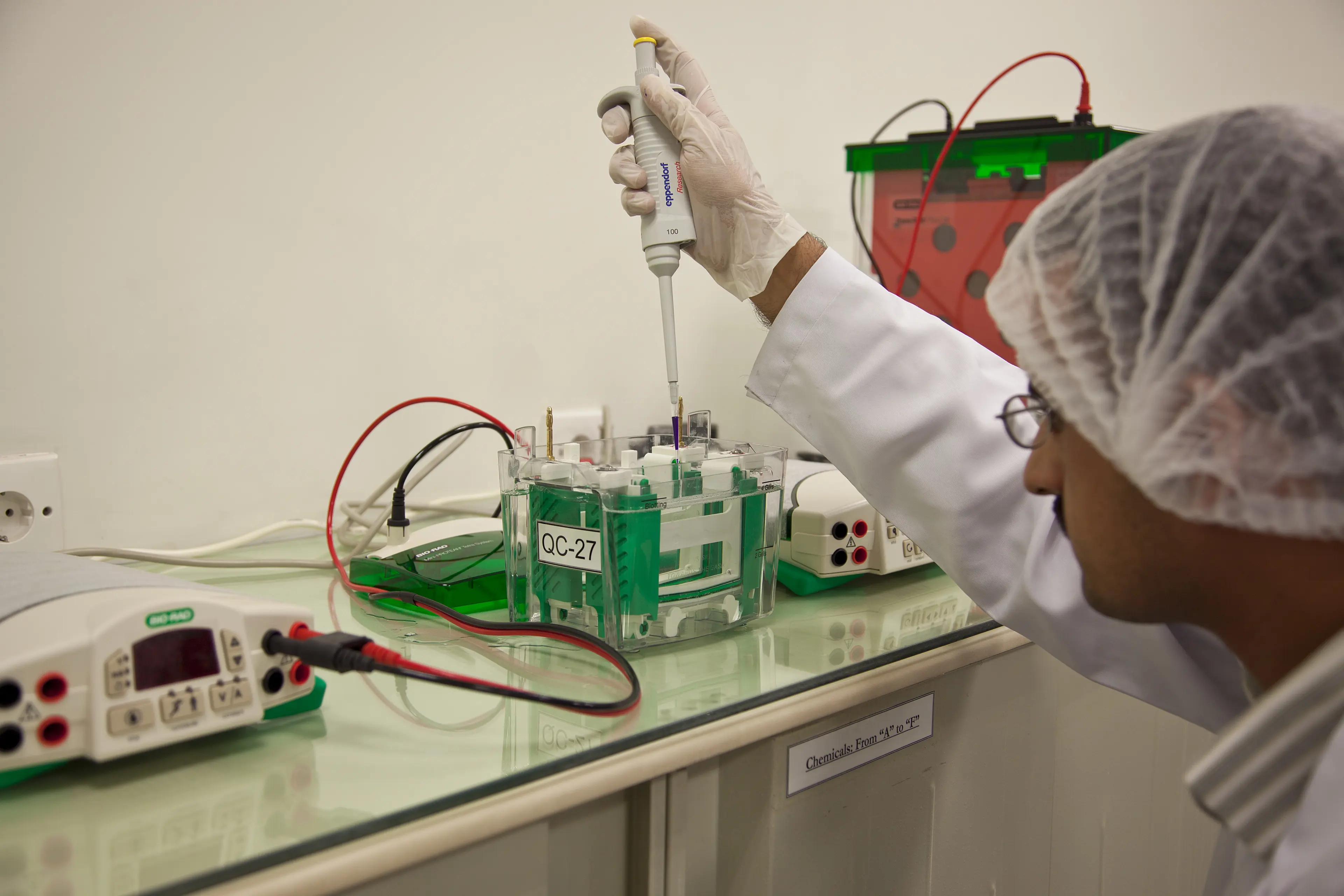 Scientist preparing a gel electrophoresis sample